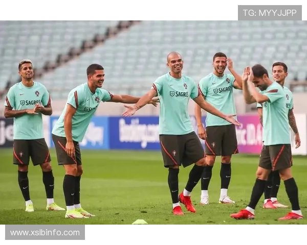 葡萄牙总统坚定信心称球队必将成功即使自费也要亲临世界杯赛事