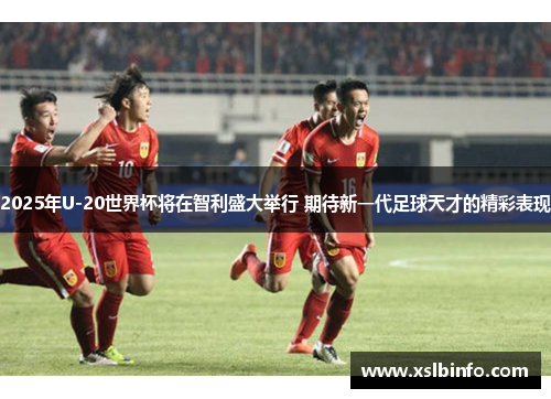 2025年U-20世界杯将在智利盛大举行 期待新一代足球天才的精彩表现
