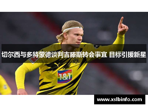 切尔西与多特蒙德谈判吉滕斯转会事宜 目标引援新星