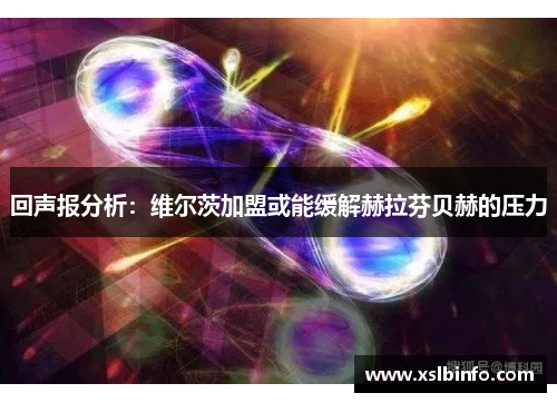 回声报分析：维尔茨加盟或能缓解赫拉芬贝赫的压力