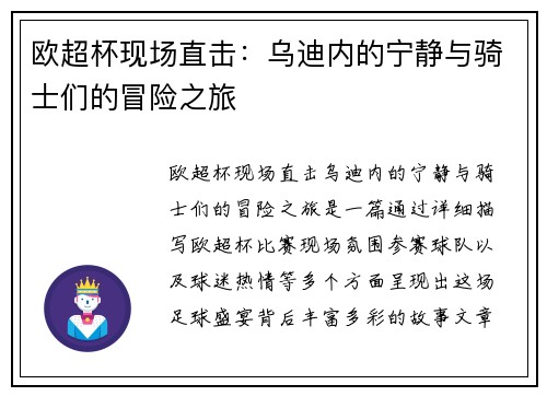 欧超杯现场直击：乌迪内的宁静与骑士们的冒险之旅